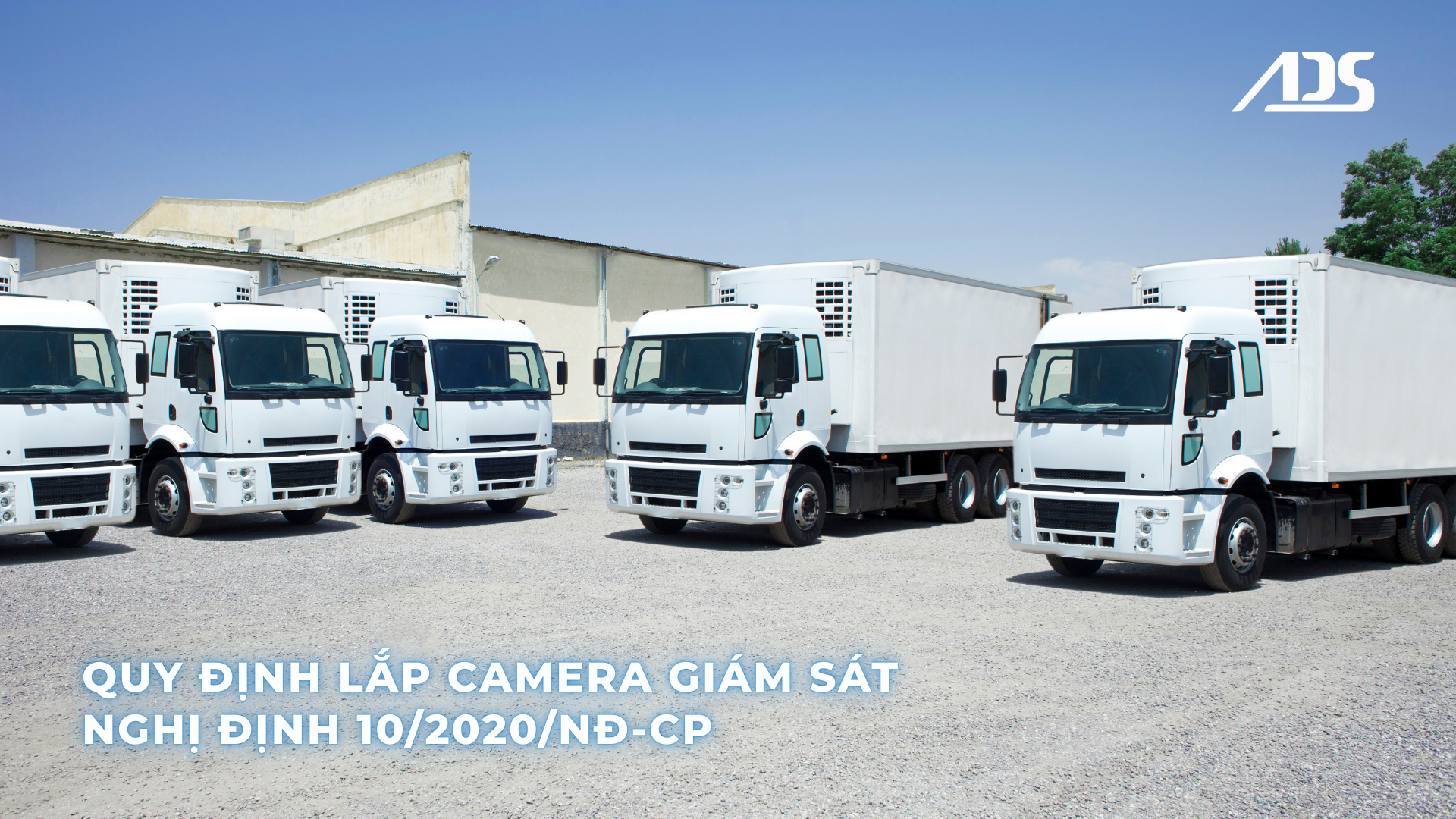 Camera nghị định 10